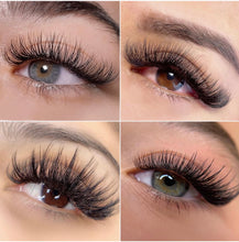 Load image into Gallery viewer, Extensiones de Pestañas Easy Fan