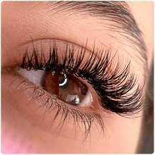 Load image into Gallery viewer, Extensiones de Pestañas 3D, 10D